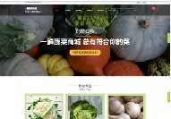 肃北营销网站